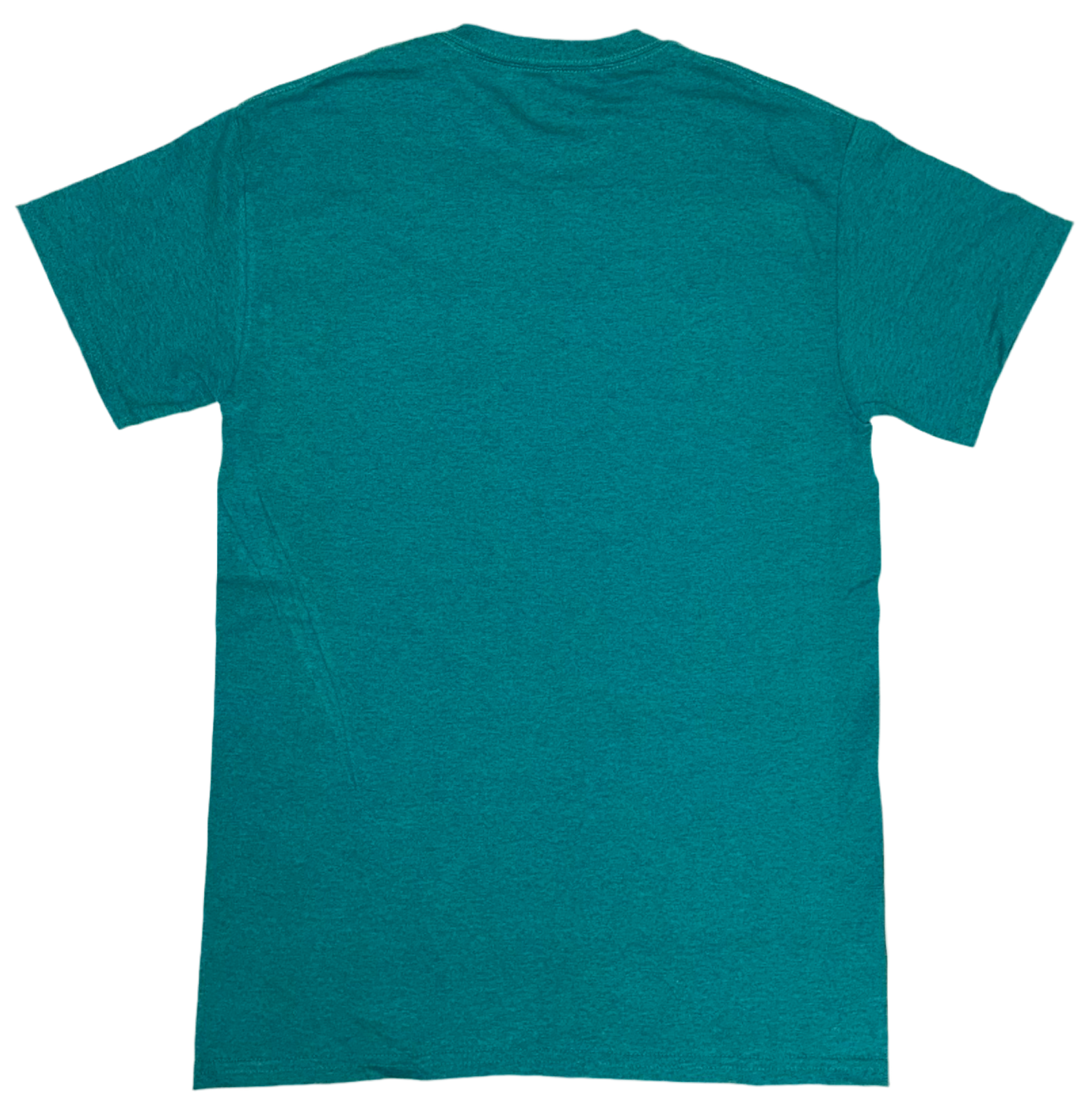 Teal "Dream Plant" Tee